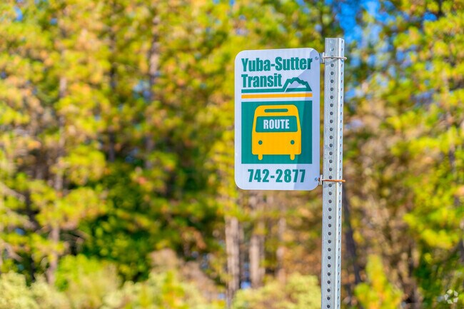 Just call to arrange public transportation in Challenge-Brownsville.