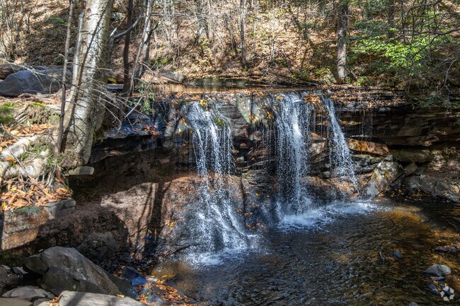 Hikers in Mill Creek can take a stroll along the waterfalls at Ricketts Glenn State Park.