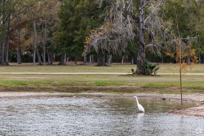 Parks and green spaces in Walker give you a serene connection with nature.