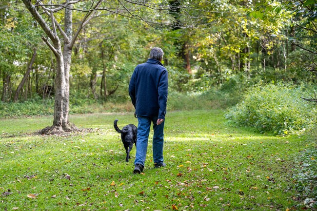 Sligo Cabin Park in Silver Spring Park is ideal for dog walks and nature strolls.