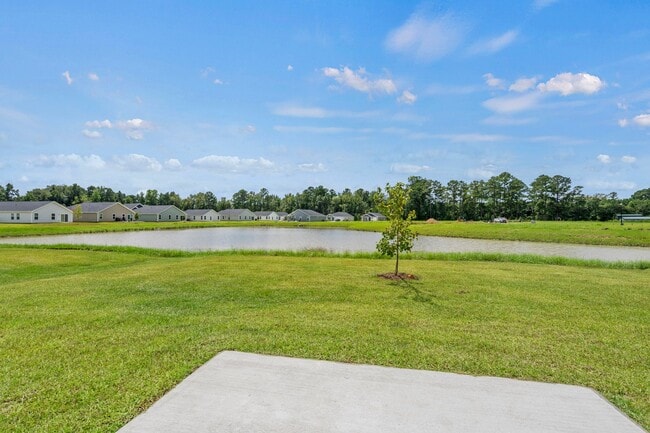985 Cherrystone Loop, Conway, SC 29526 - photo 6