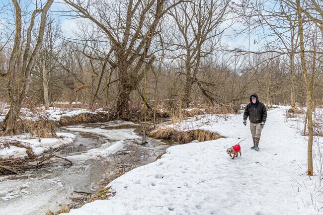 Sheridan Park provides amazing winter walks for Lamont residents and their furry friends.