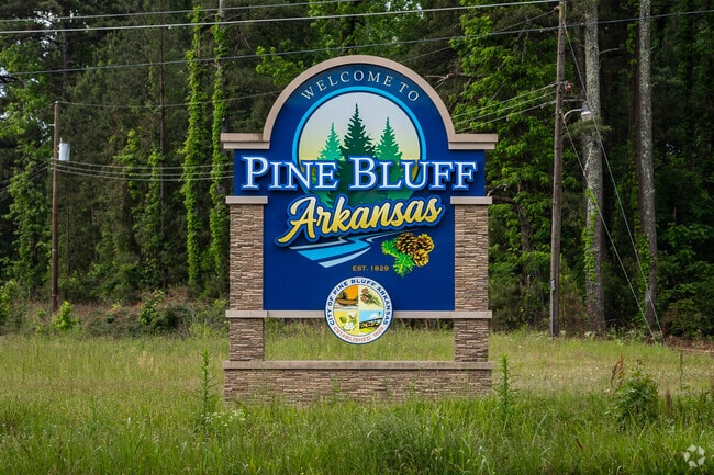 Pine Bluff has struggled to move forward amid economic setbacks, educational disparities and high crime rates.