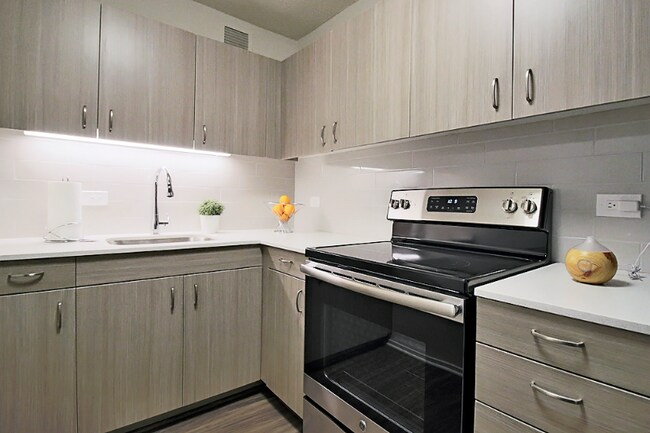 1127 N Dearborn St, Chicago, IL 60610 - photo 4