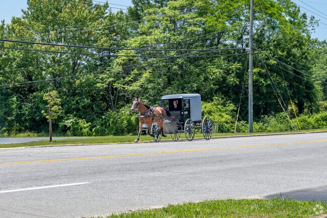 Amish horse-drawn carts are a common sight in Dillwyn.