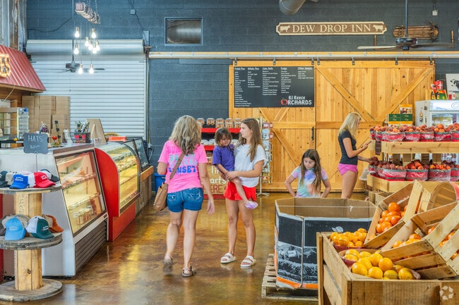 Ellijay is renowned for its scenic orchards and charming countryside, while BJ Reece offers a fantastic array of products and services to explore.