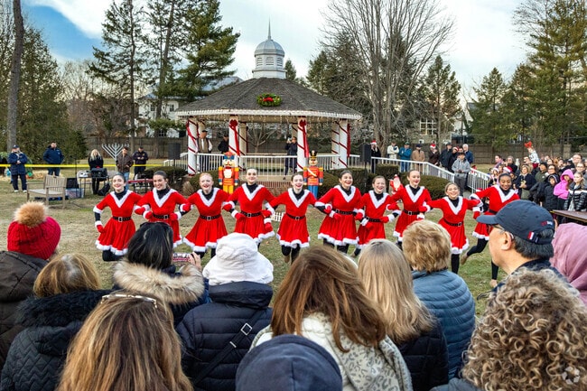 Dancers from local dance studios put on a show at the Garden City Christmas Tree Lighting.