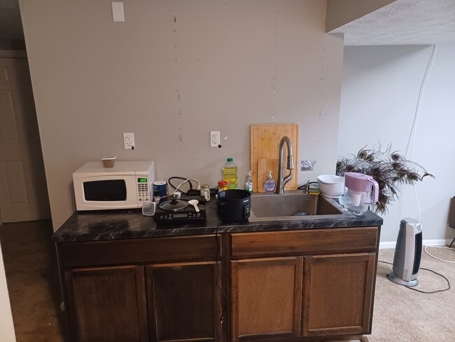 611 Buckingham Ln unit Basement Apartment, Lexington, KY 40503 - photo 2