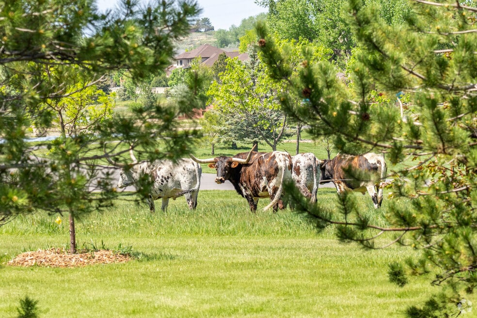 NH_Westridge_552546_052825_Final