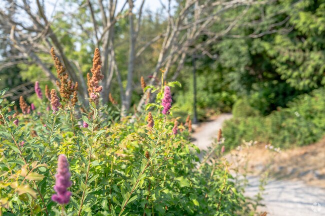Find nature and beauty close by at Maritime Heritage Park near Lettered Streets.