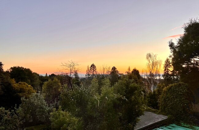 1216 Spruce St unit 1216-1/2 Spruce, Berkeley, CA 94709 - photo 7