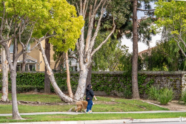 The sidewalks around West Village are perfect for walking your pet.
