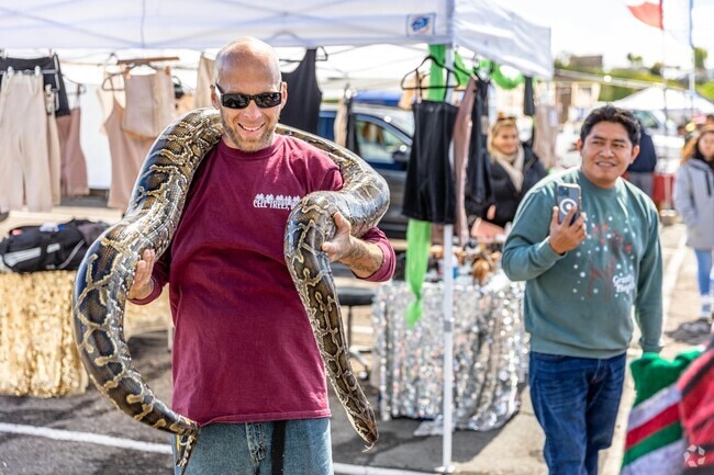 Spring Valley Swap Meet is La Presa's place to connect with the community.