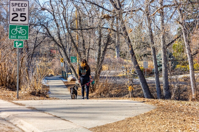 Holbrook Park trails near Creighton are ideal for dog walks and outdoor play.