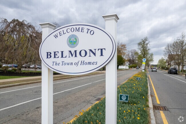 Belmont Hill is an area gilded in prestige, a leafy enclave filled with spacious homes.