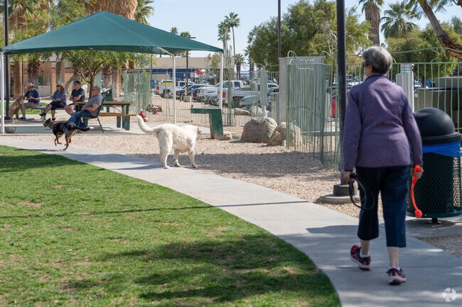 Locals of Oasis del Sol can take their dogs to the David H. Ready Palm Springs Dog Park.