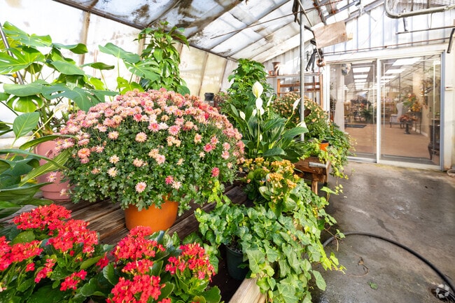 Towne House Flowers, right off Hartford Avenue, is the go-to place for Bishop Heights residents to get their bouquets of flowers.