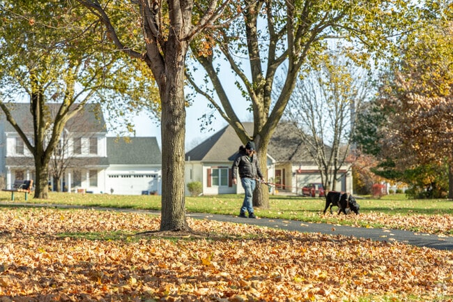 Bald Mound near La Fox offers scenic fall walks for residents and pets.