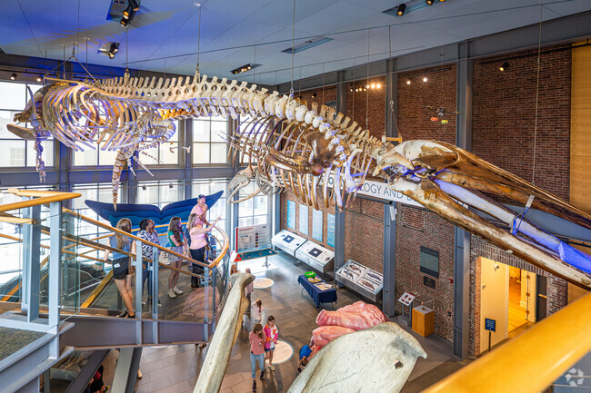In New Bedford you can stop into one of several well known museums, like the Whaling Museum.