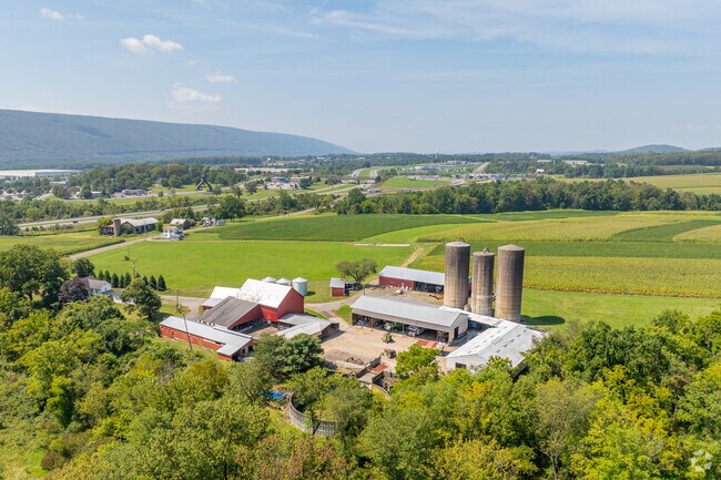 Large farms below towering silos in Muncy create a rustic atmosphere.