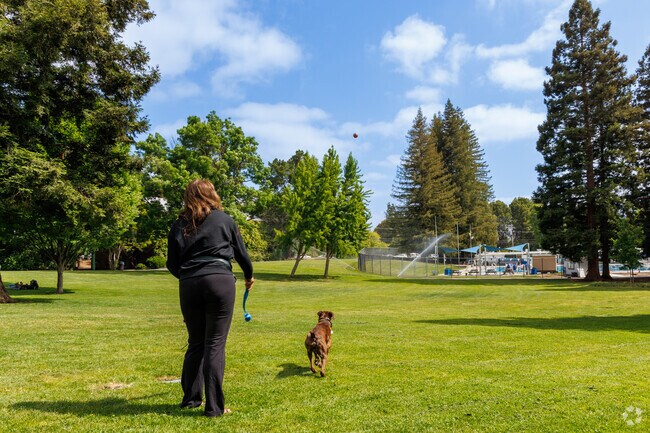 Larkey Park combines peaceful paths, sports courts, and pet-friendly green fields.