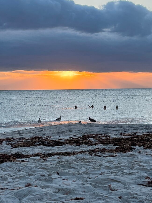 World famous beaches