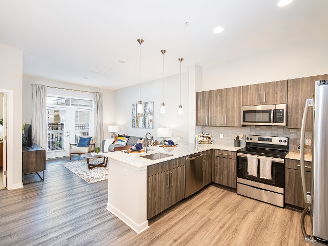 Overture Greenville	 55+ Active Adult Apartment Homes, Greenville, SC 29607 - photo 3