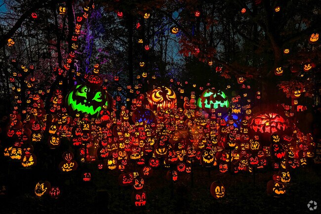 Bask in the glow of more than 5,000 carved pumpkins at the Jack o Lantern Spectacular.