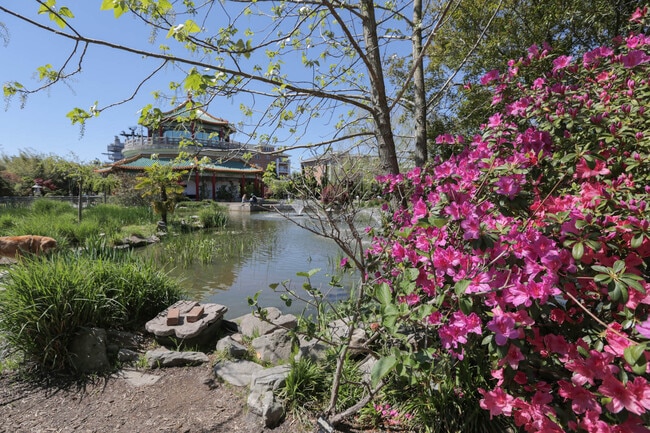 The Atlantic Permanent, Norfolk, VA 23510 - photo 3