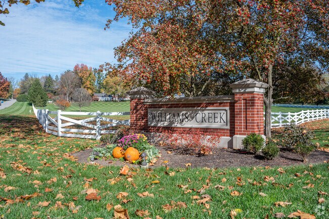 Williams Creek is the place to go for friendship, community, and to put down roots.