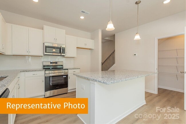 6028 Jasmine Branch Rd, Charlotte, NC 28216 - photo 4