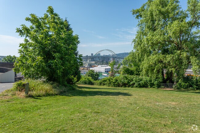Fremont Bridge is visible from the off-leash dog area at Overlook Park in Portland, Oregon.