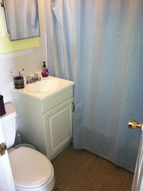 34 Pratt St, Allston, MA 02134 - photo 5