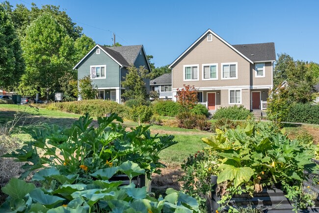 These newly built homes surround a community garden in the north end of High Point.