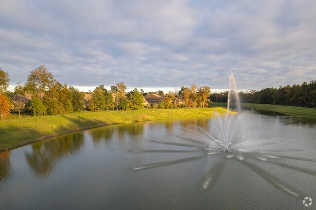 The name Wood Forest conjures images of lush landscapes, creating a tranquil setting.