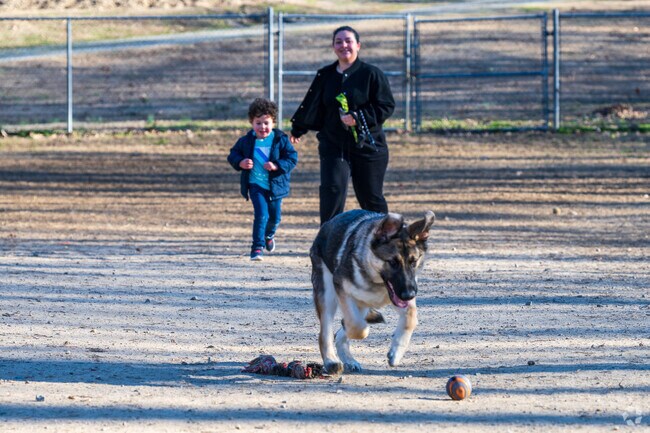 Several popular dog parks are available to locals of Westchester.