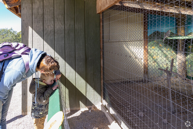 A mother shows her son the birds at the Wildlife West Nature Park in Thunder Mountain.