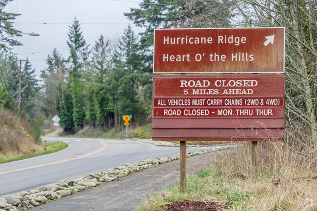 From the sea to Hurricane Ridge where you can ski in Port Angeles WA.