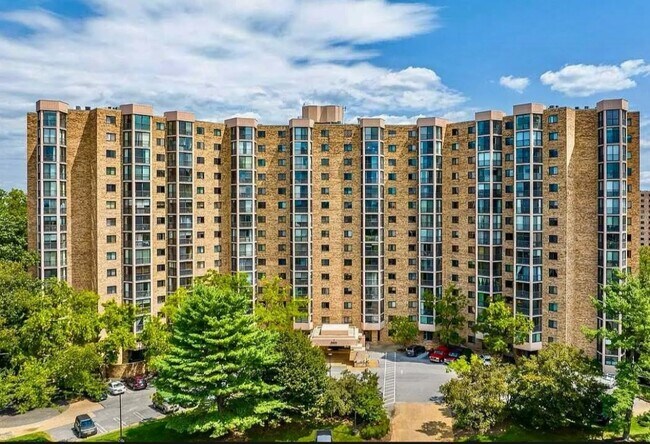 5901 Mount Eagle Dr unit 817, Alexandria, VA 22303 - photo 3