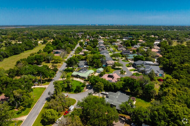 Tomoka Oaks is lined with mature oak trees and backs up to the Tomoka River.