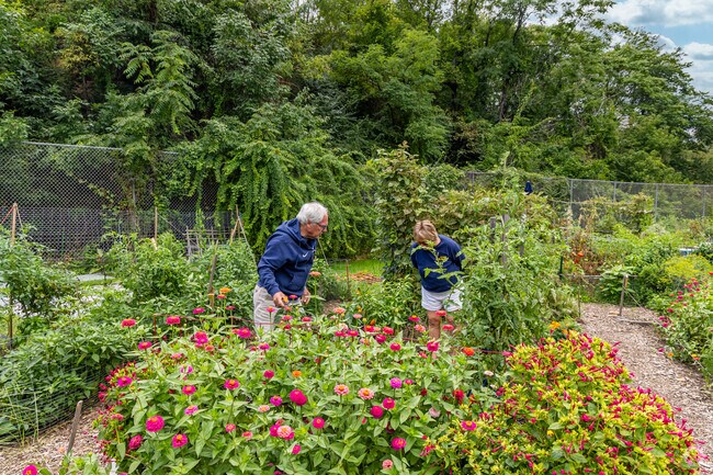 Show off your green thumb at Bandi Schaum Community Garden in South Side Slopes.