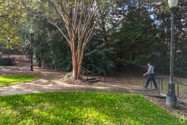 Irmo Town Park is home to the annual Cherry Blossom Fesivall.
