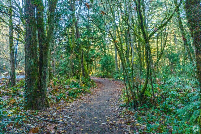 As Mercer Island's largest green space, Pioneer Park offers incredible hiking on the Island.