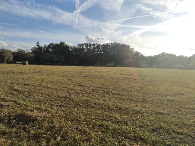 8035 NW 120th St unit Stables Apt 2, Reddick, FL 32686 - photo 7