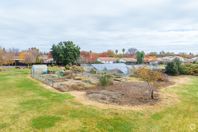 The garden at Folsom Cordova Community Charter School teaches students how to grow plants.