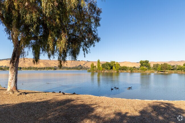 Enjoy the peaceful lake setting in Central Park in Cherry-Guardino.