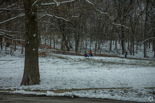 Kids sled at Johnson’s Mound Forest Preserve near La Fox.