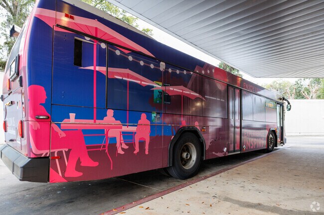 Tallahassee public transportation runs seven days a week throughout Midtown.