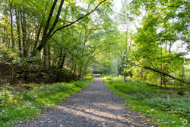 Take a hike along the winding trails of Stackhouse Park.