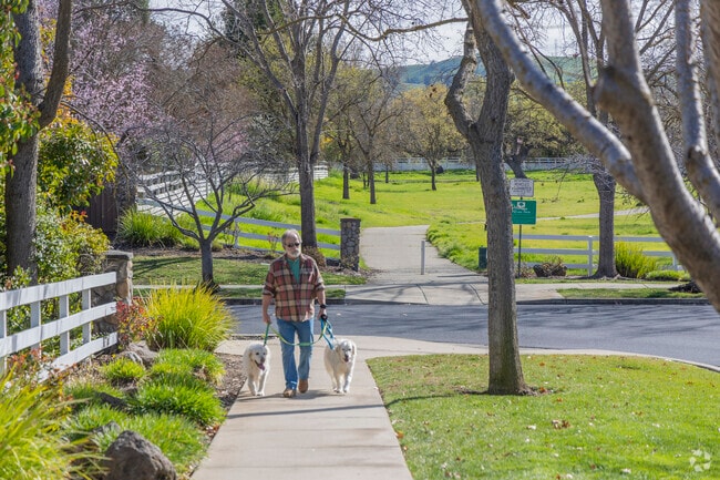 The Oaks is a dog friendly neighorhood.